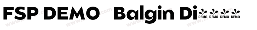 FSP DEMO   Balgin Di字体转换